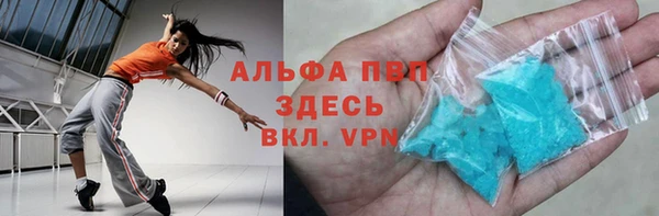 PSILOCYBIN Карталы