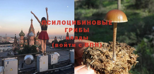 соль курить ск Касимов