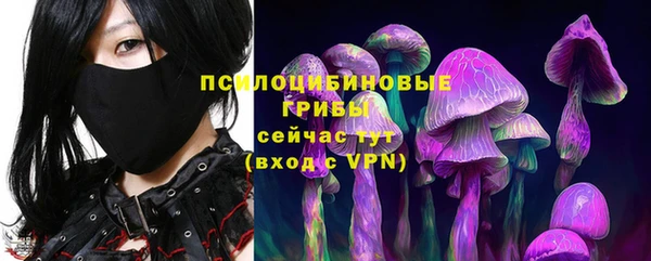 ГАЛЛЮЦИНОГЕННЫЕ ГРИБЫ Карпинск