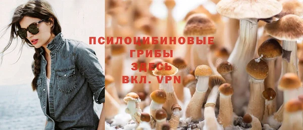 ГАЛЛЮЦИНОГЕННЫЕ ГРИБЫ Карпинск