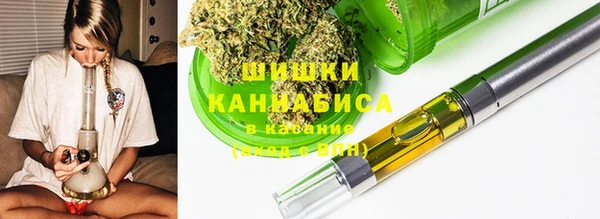 PSILOCYBIN Карталы