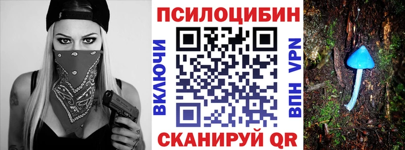 где продают Няндома Галлюциногенные грибы Magic Shrooms